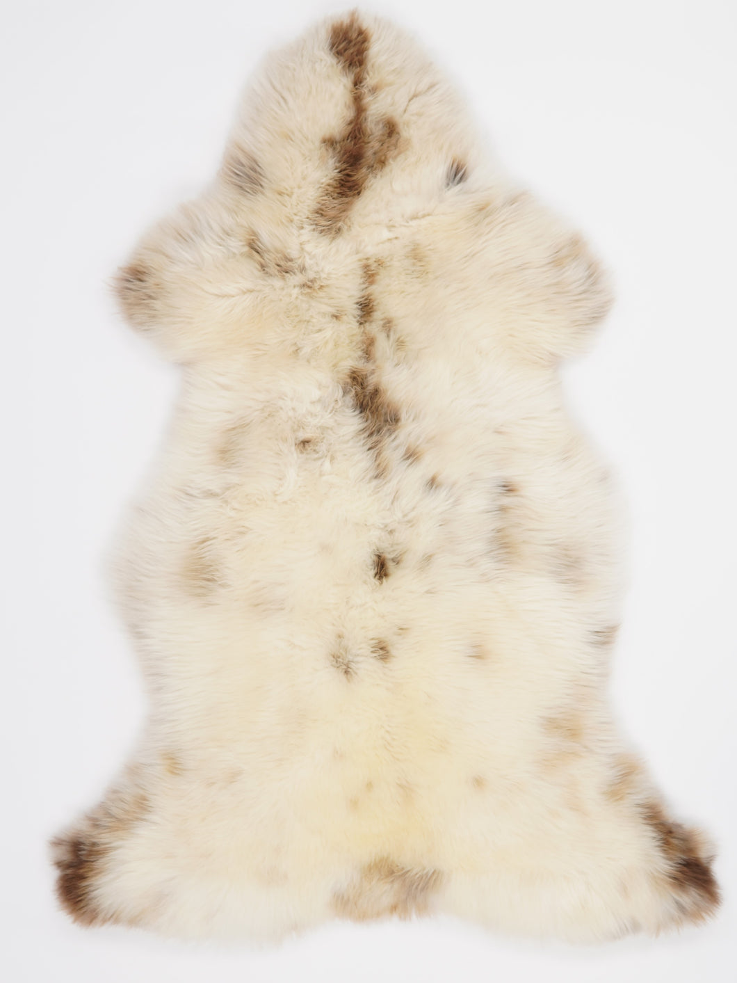 Įvairiaspalvis avikailis L