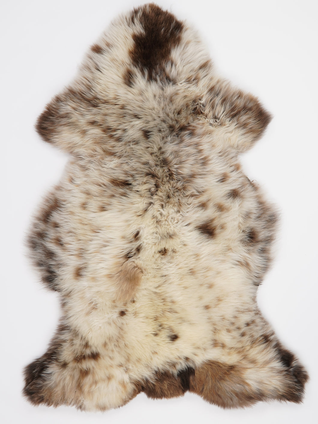 Įvairiaspalvis avikailis XL