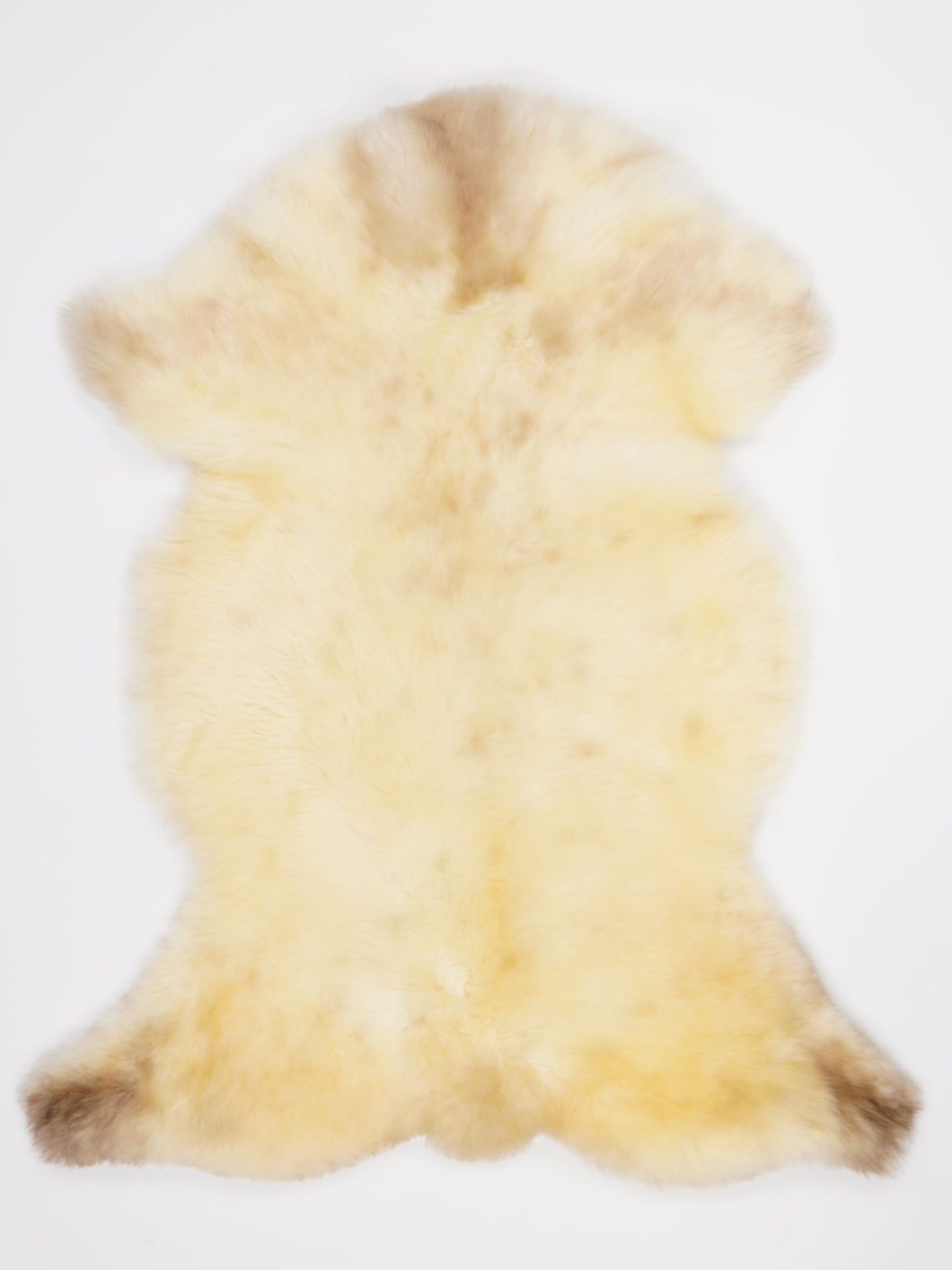 Įvairiaspalvis avikailis XL