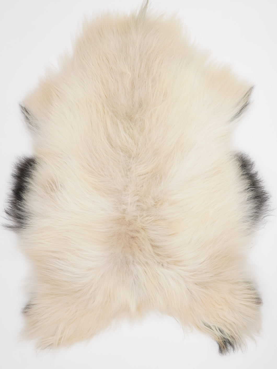 Islandská ovčí kůže XXL
