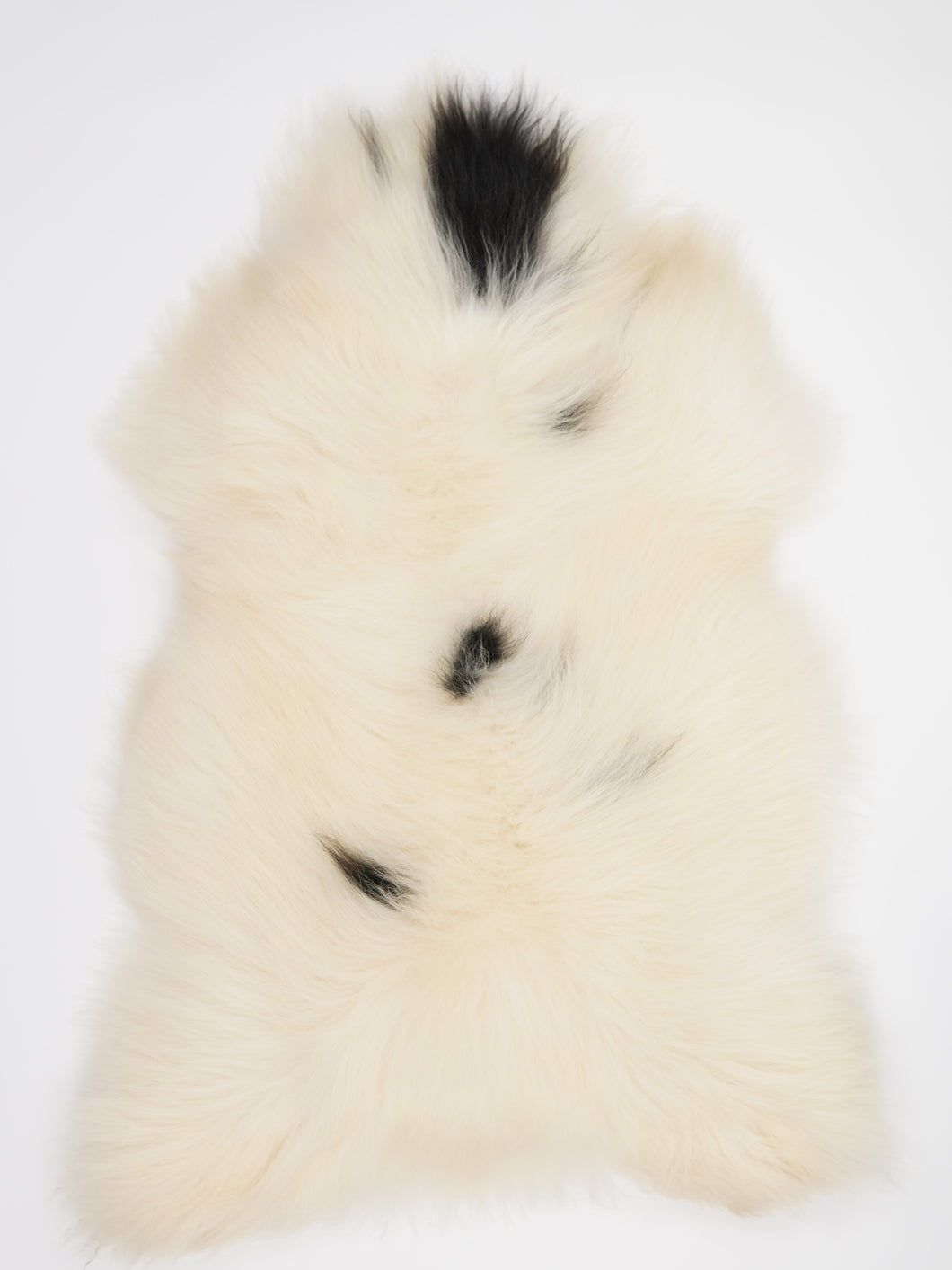 Islandská ovčí kůže (itin storo kailio) XXXL