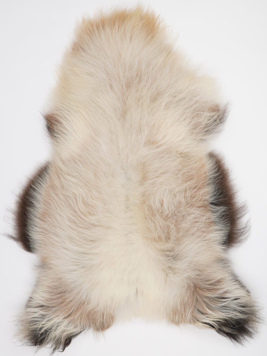 Islandská ovčí kůže XXXL