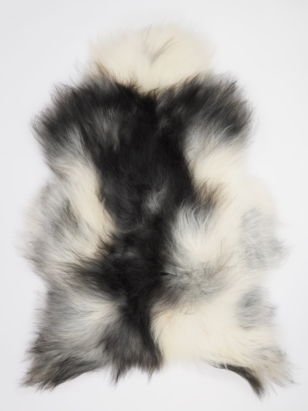 Islandská ovčí kůže XXXL