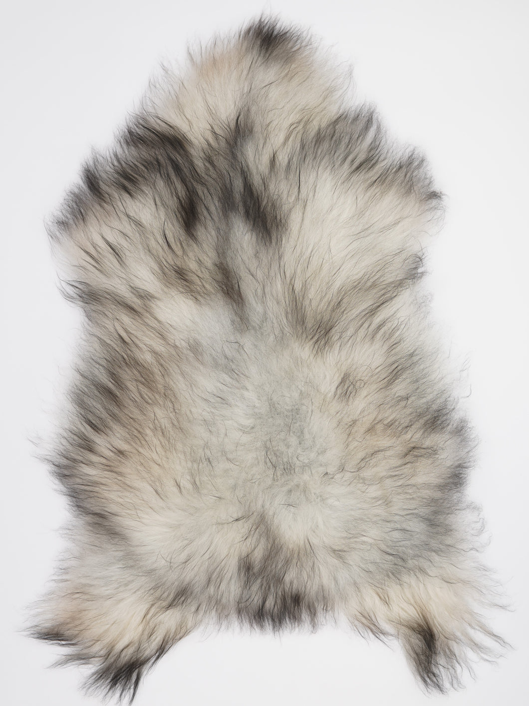 Islandská ovčí kůže XXL