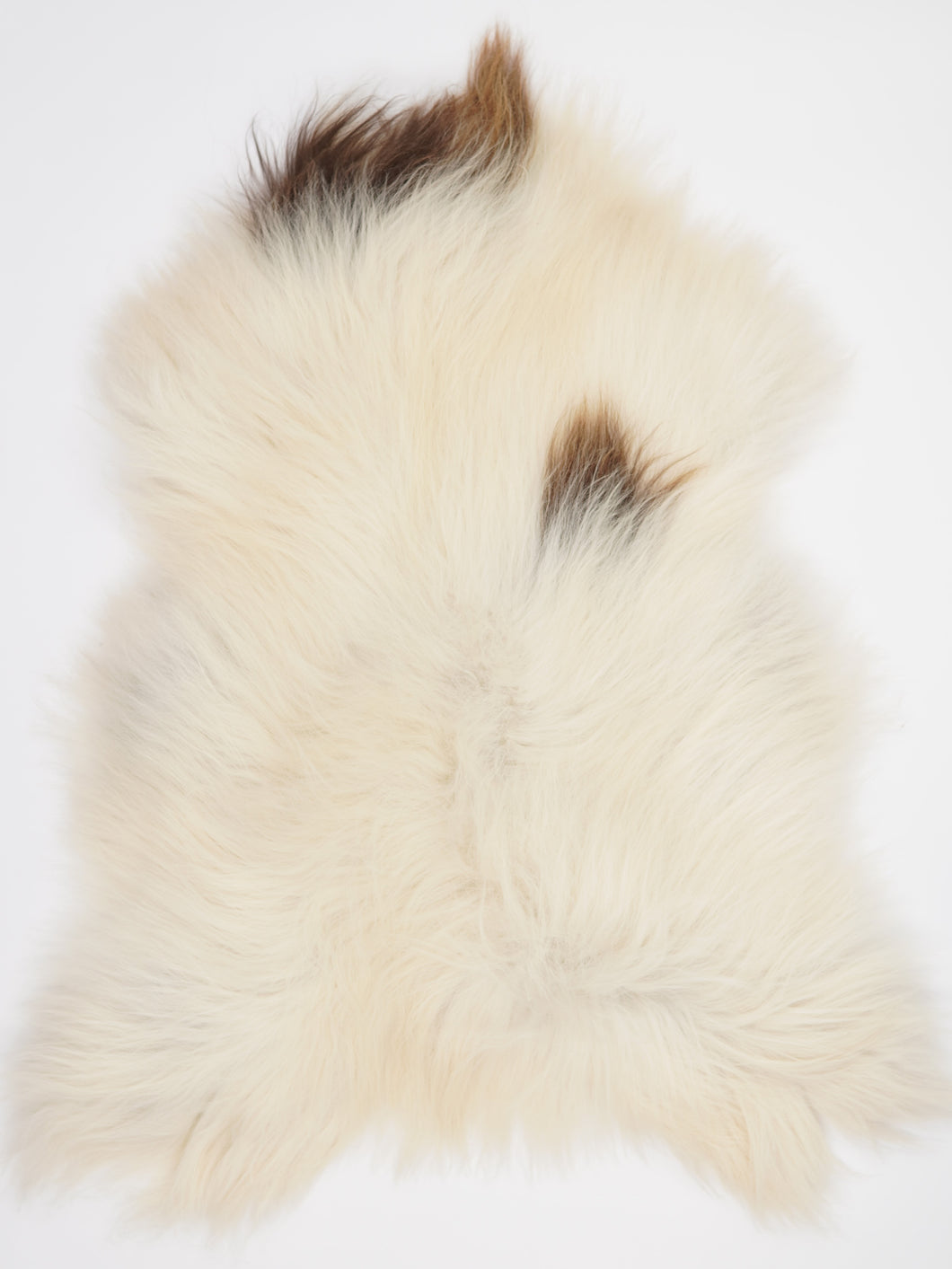 Islandská ovčí kůže XXL