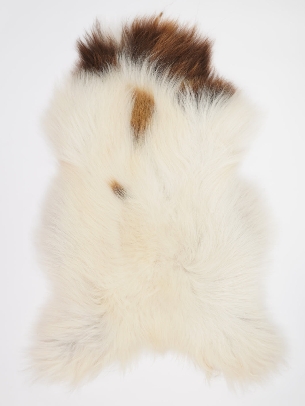 Islandská ovčí kůže XXXL