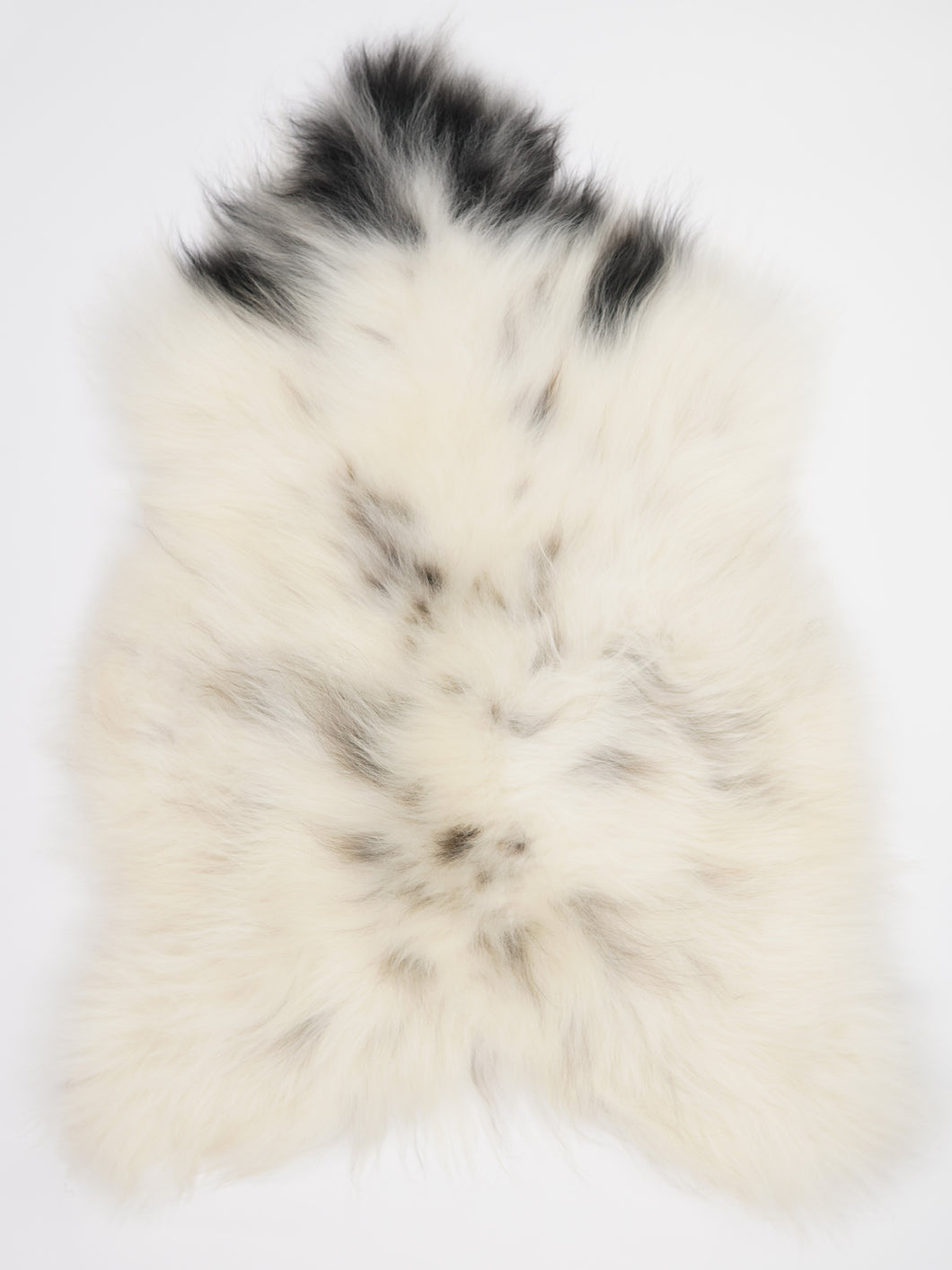 Islandská ovčí kůže XXL