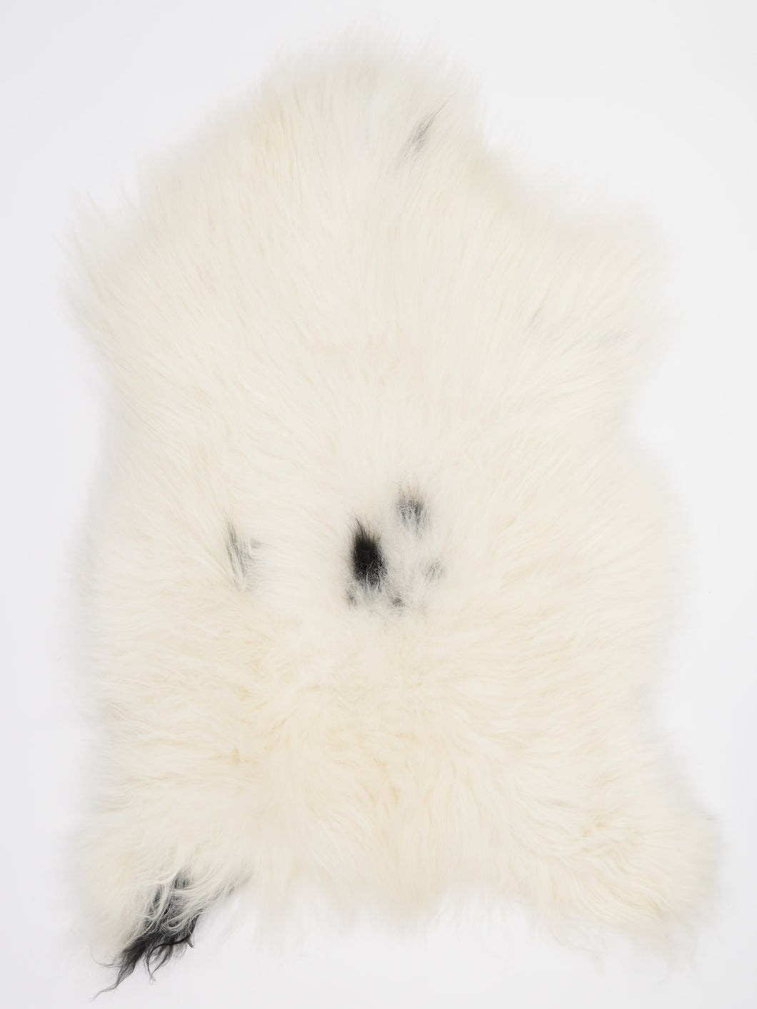 Islandská ovčí kůže XL