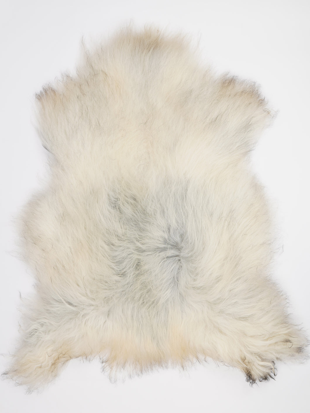 Islandská ovčí kůže XXL