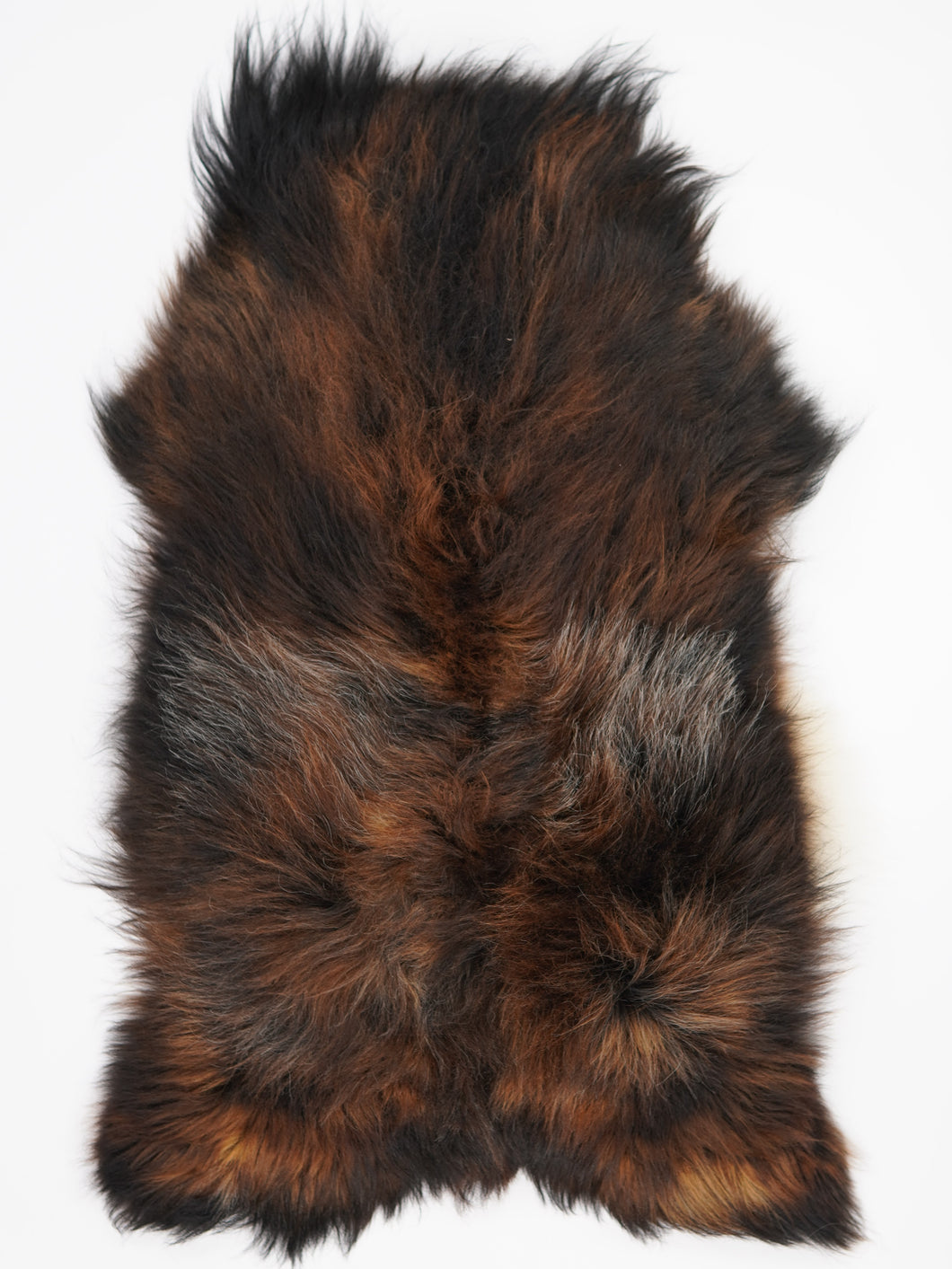 Islandská ovčí kůže XXXL