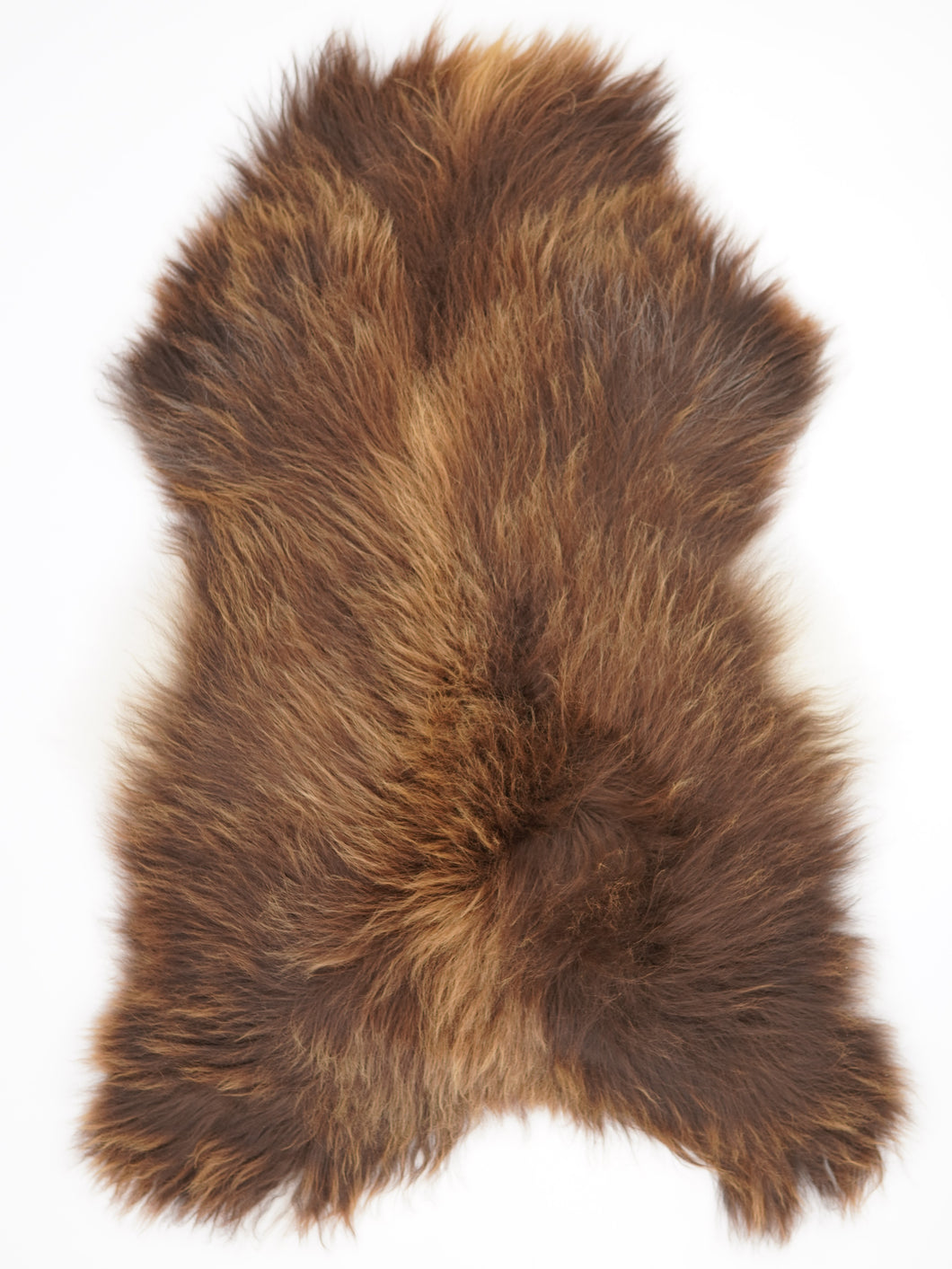 Islandská ovčí kůže XXXL