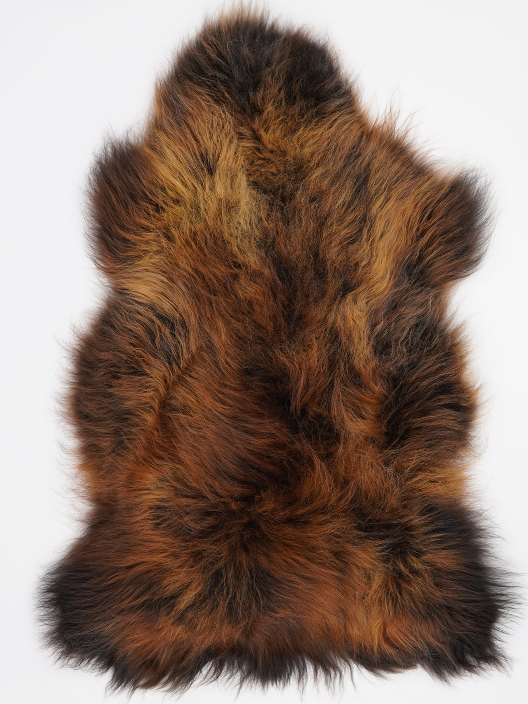 Islandská ovčí kůže XXXL