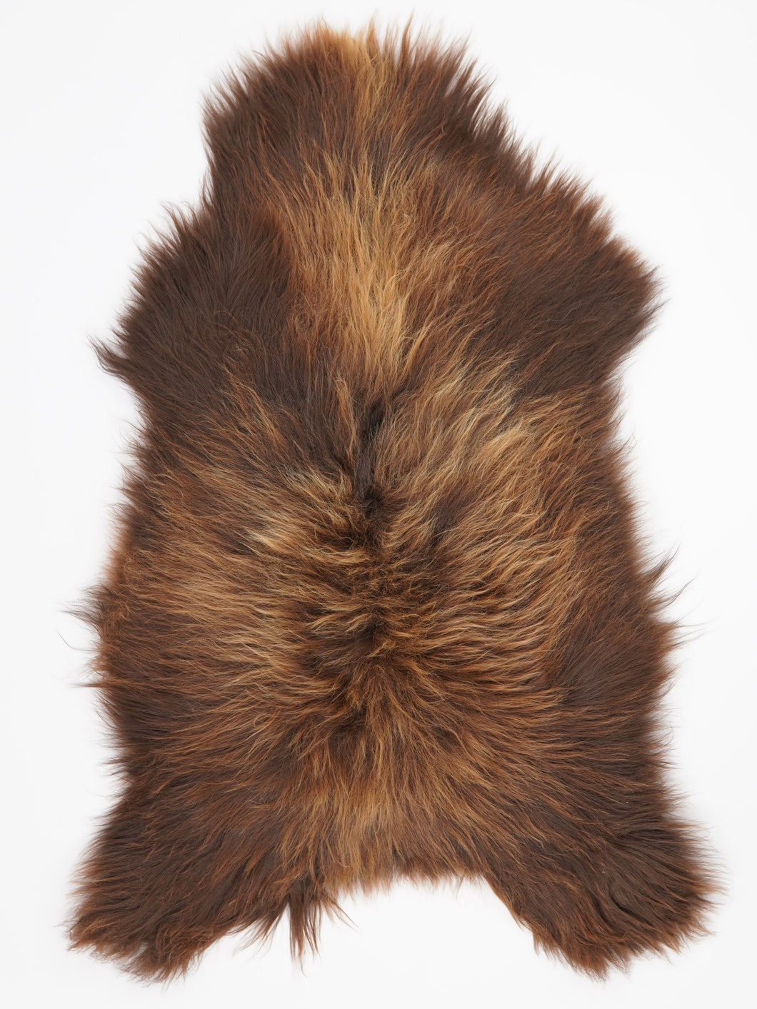 Islandská ovčí kůže XXL