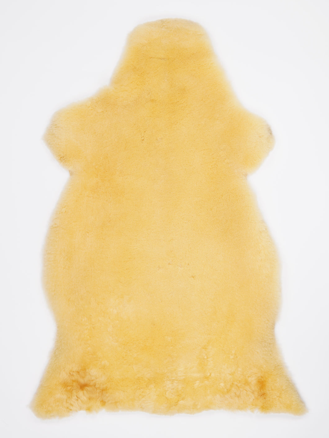 Medicininis avikailis XXXL (itin trumpi plaukai)