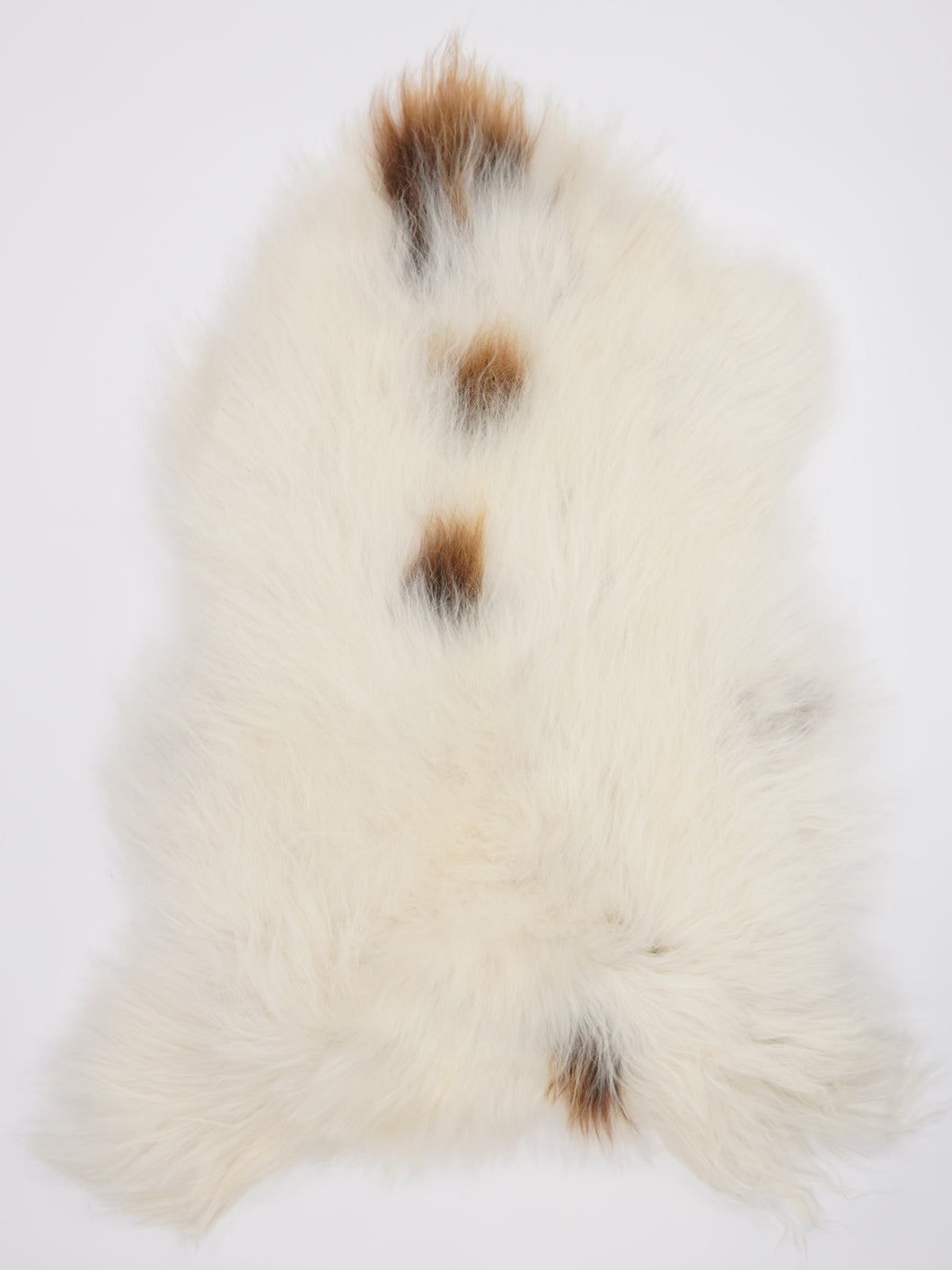 Islandská ovčí kůže XL