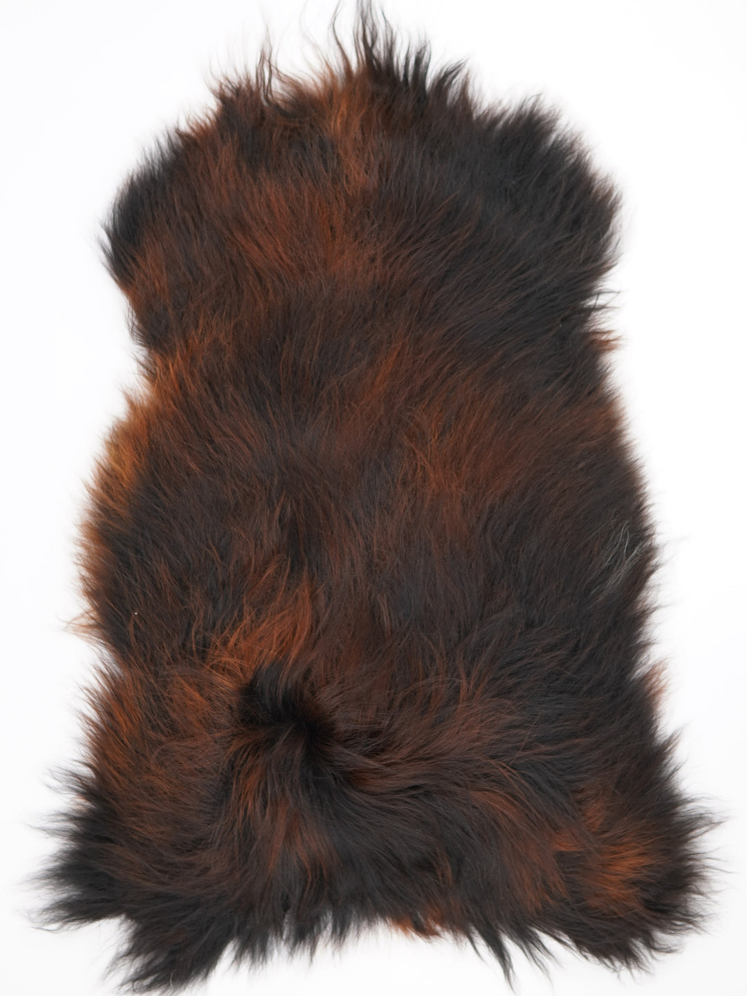 Islandiškas avikailis XL