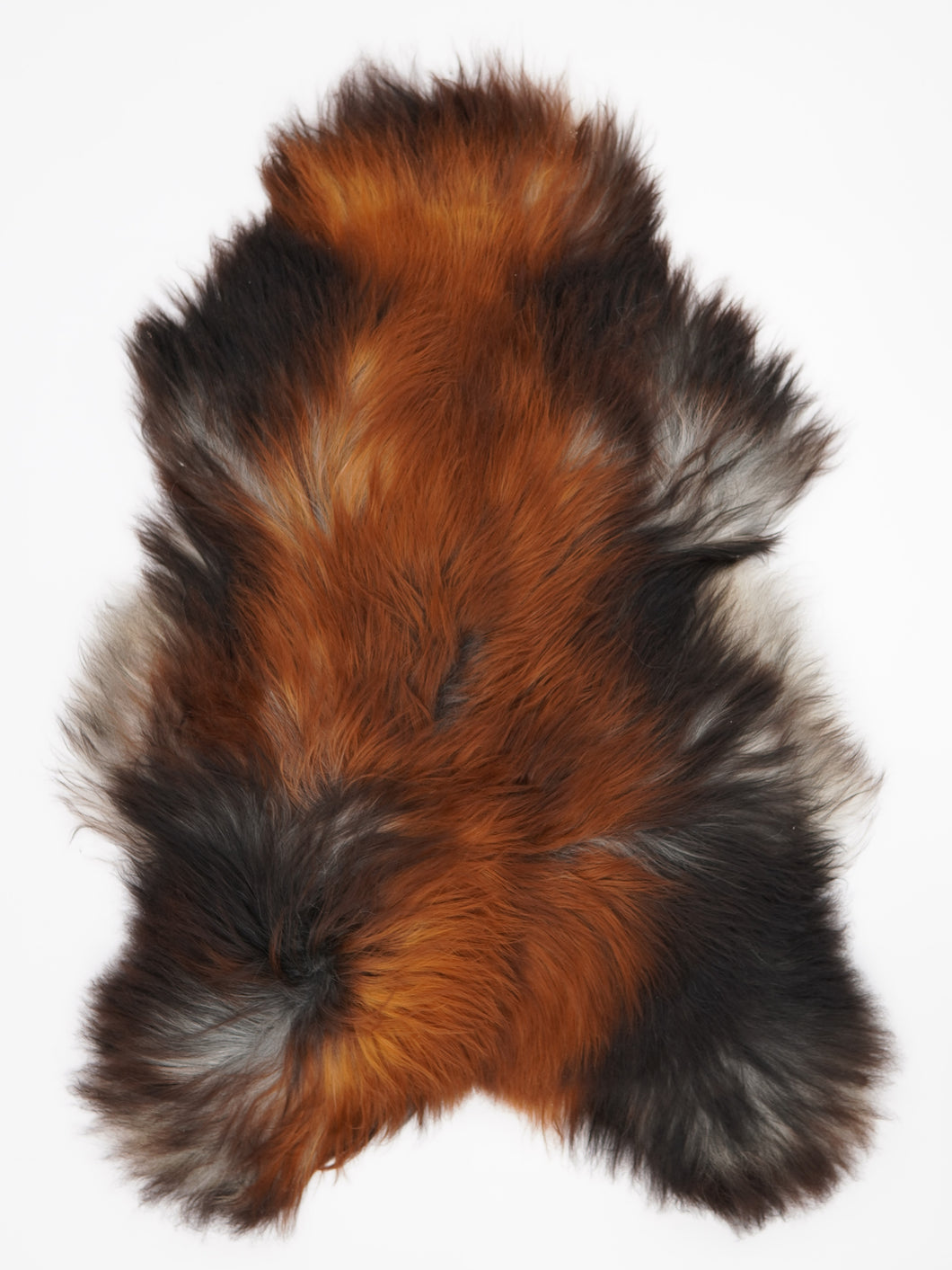 Islandská ovčí kůže XXXL