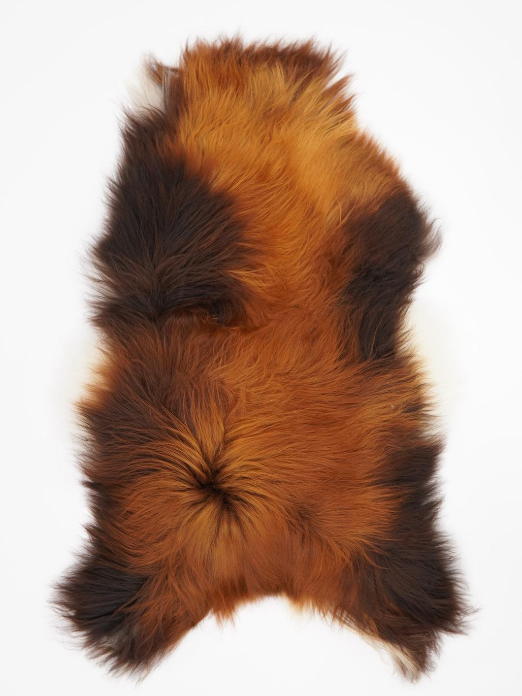 Islandská ovčí kůže „Rusty“ XXXL