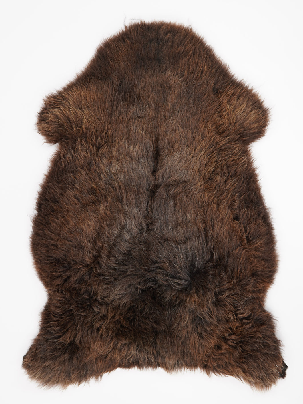 Rudas avikailis XXXL