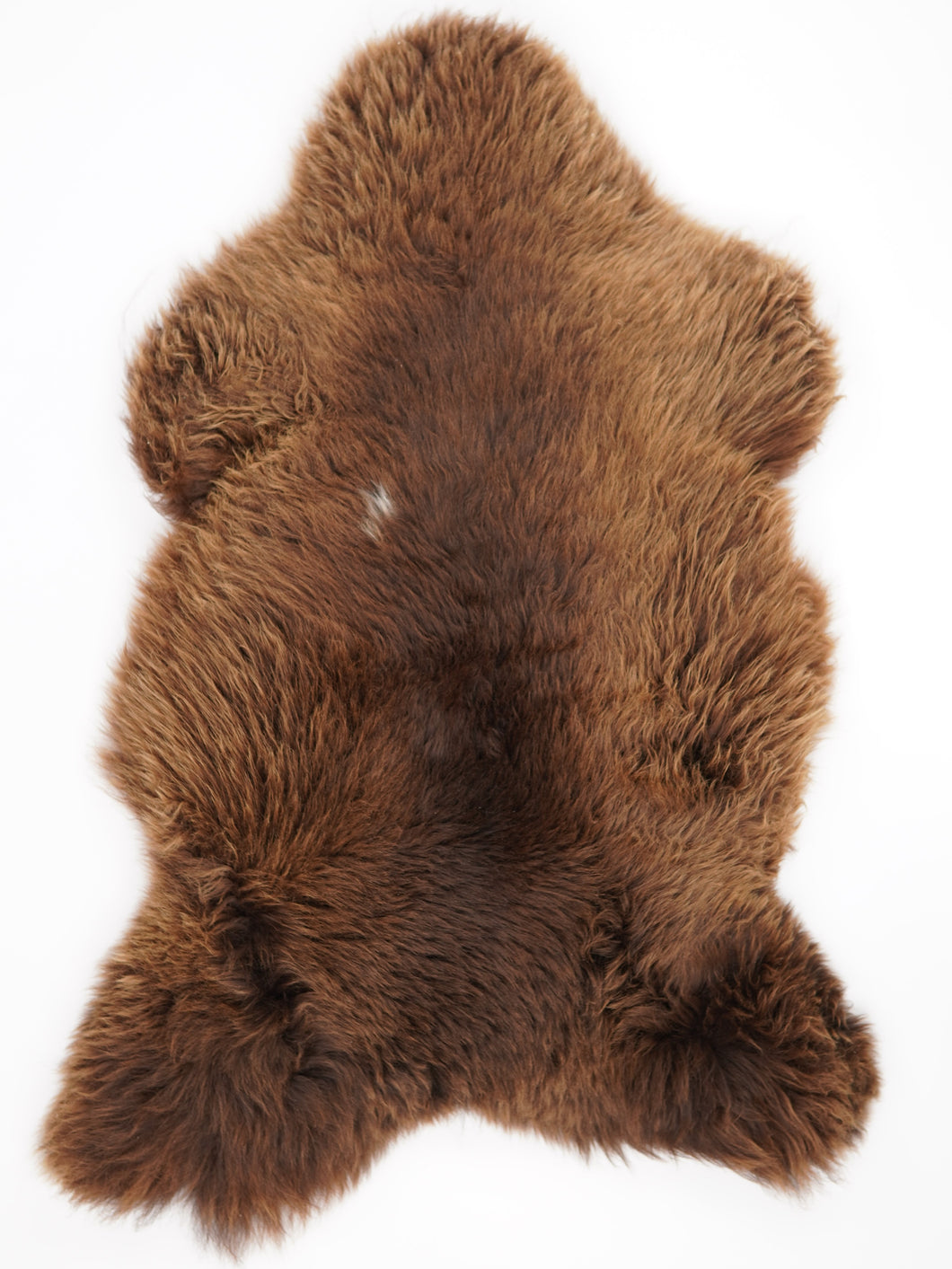 Įvairiaspalvis avikailis XXL (itin storo kailio)