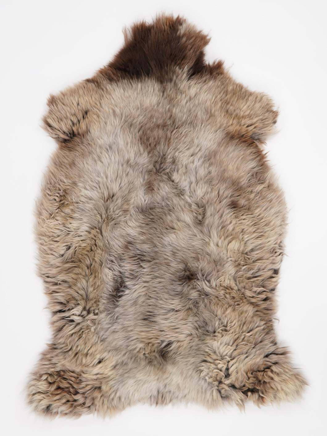 Įvairiaspalvis avikailis XXL