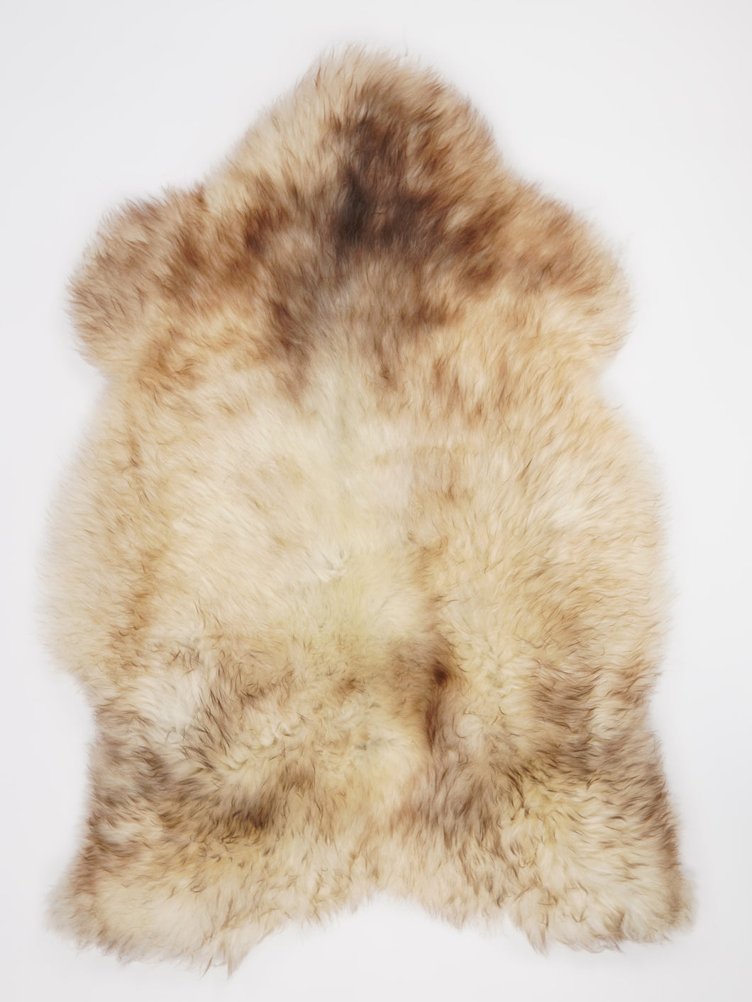 Įvairiaspalvis avikailis XXL