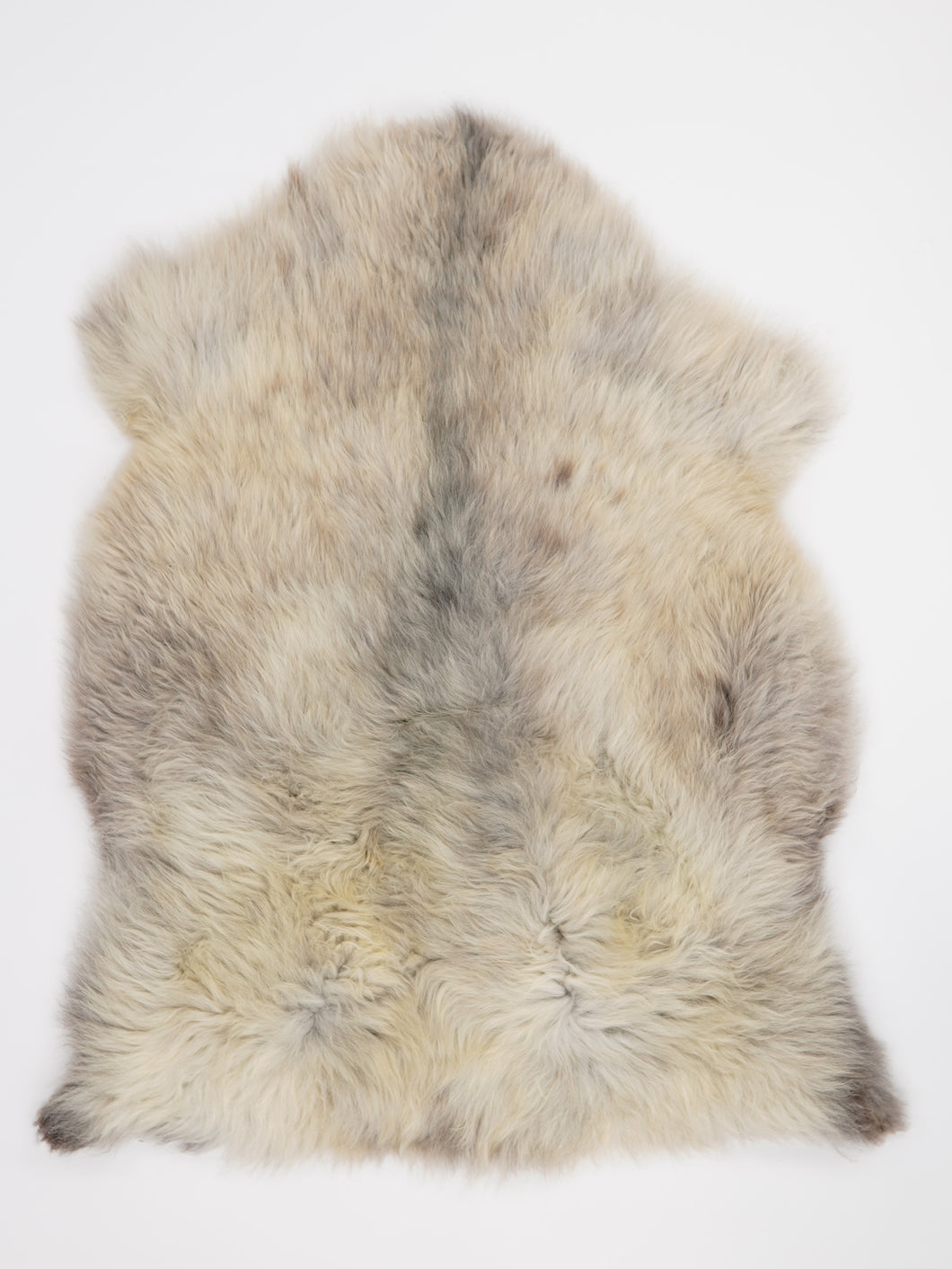 Įvairiaspalvis avikailis XL