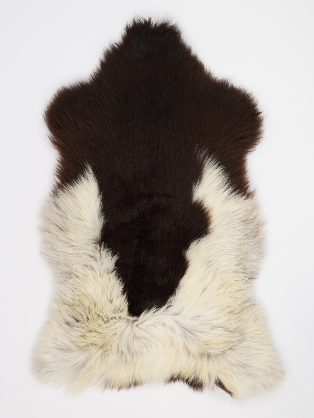 Įvairiaspalvis avikailis XL