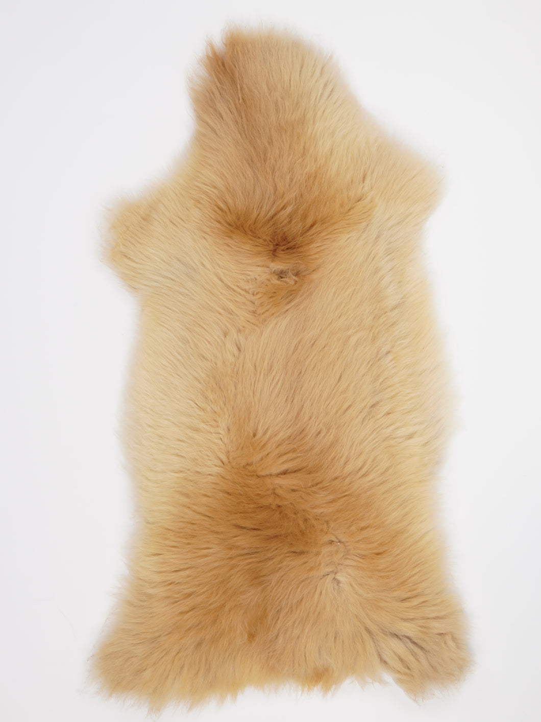 Įvairiaspalvis avikailis XXL