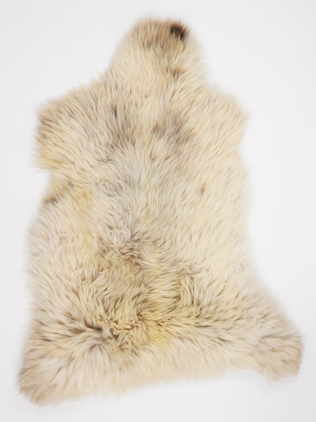 Įvairiaspalvis avikailis XL