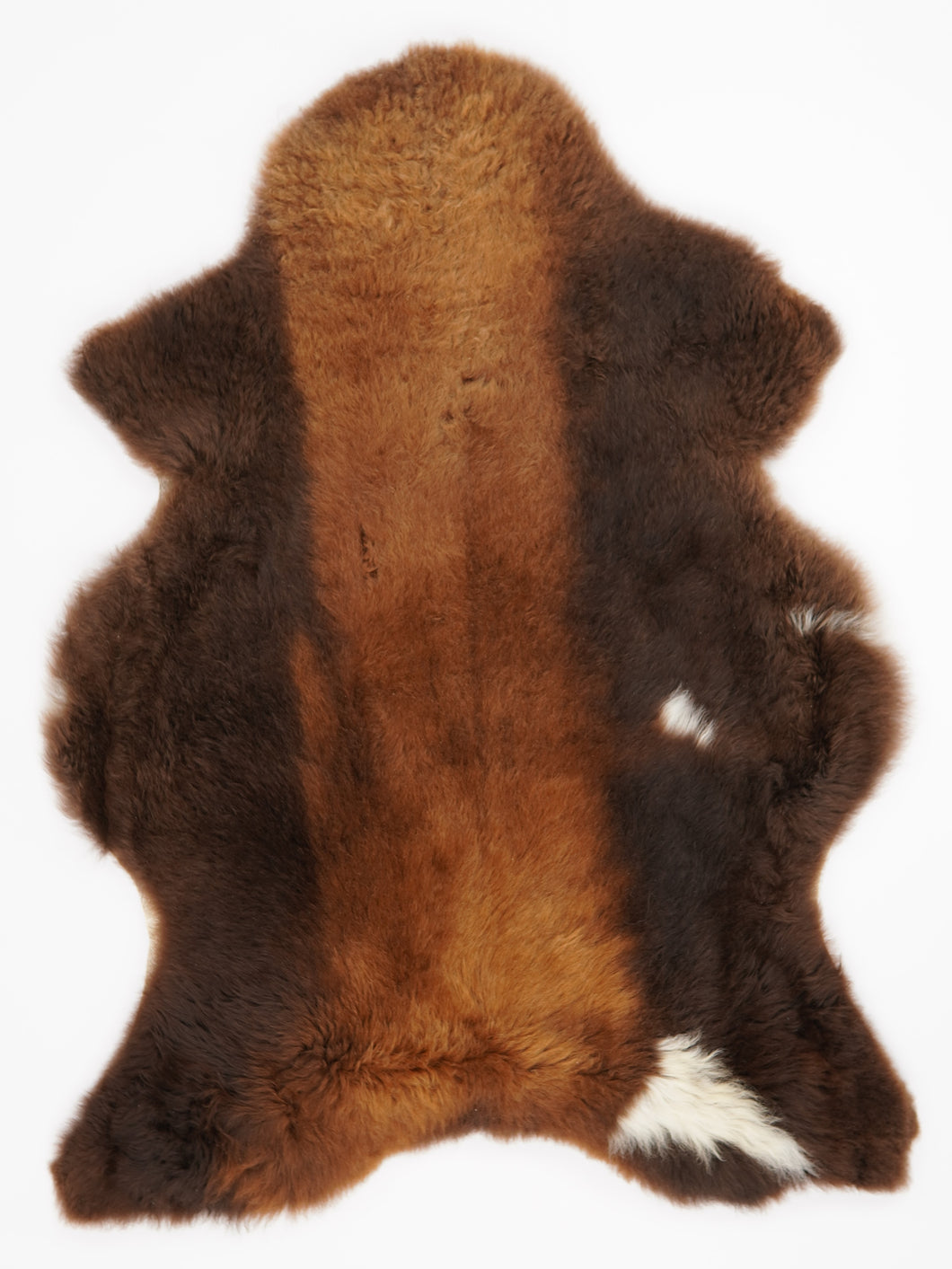 Įvairiaspalvis avikailis XL