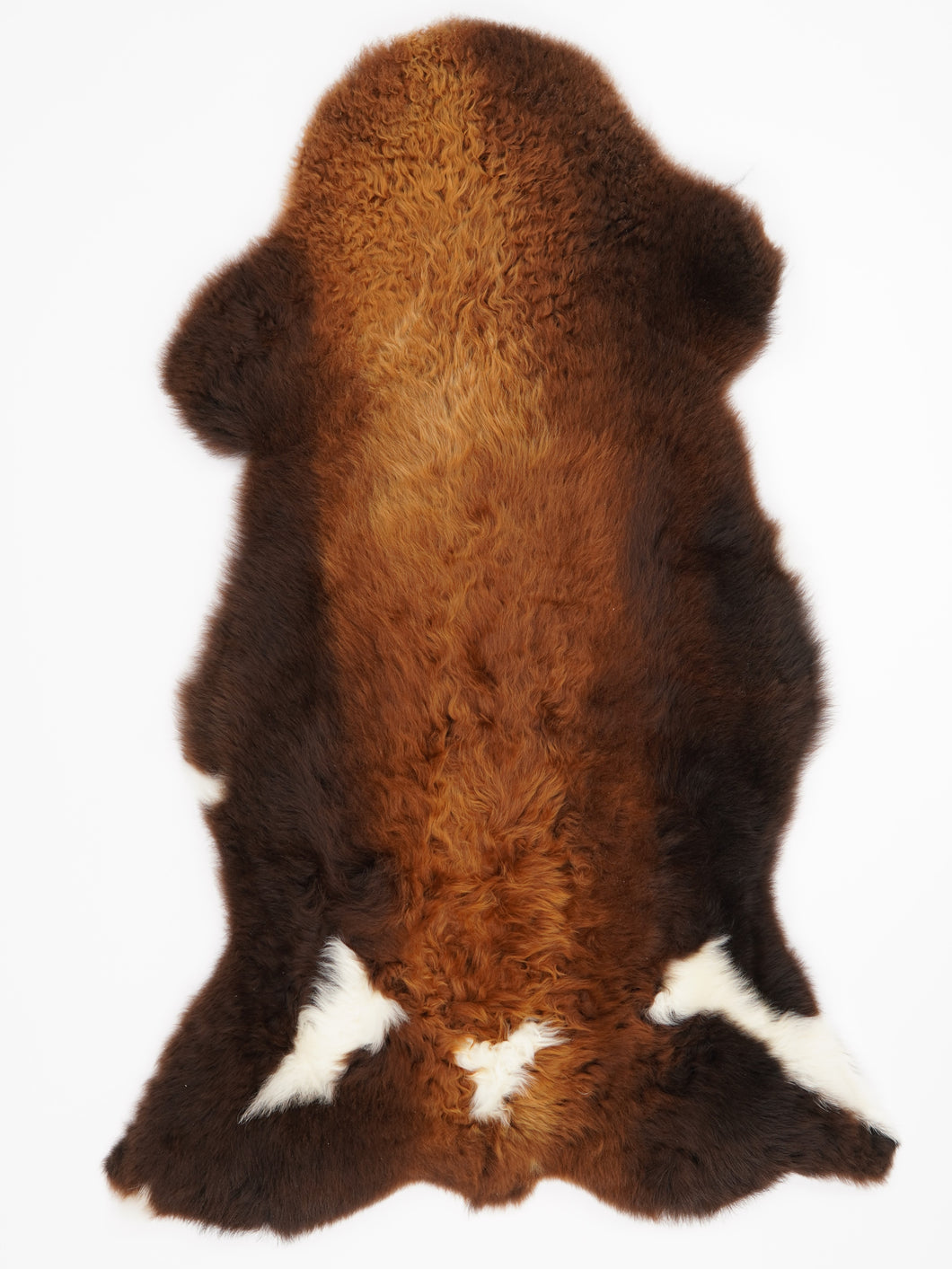 Įvairiaspalvis avikailis XL