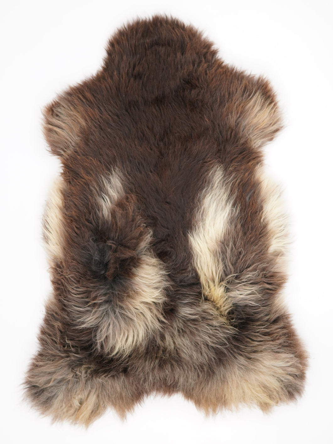 Įvairiaspalvis avikailis XXL (itin storo kailio)