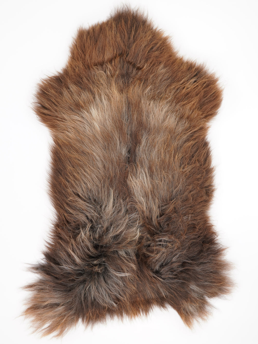 Įvairiaspalvis avikailis XXL (itin storo kailio)