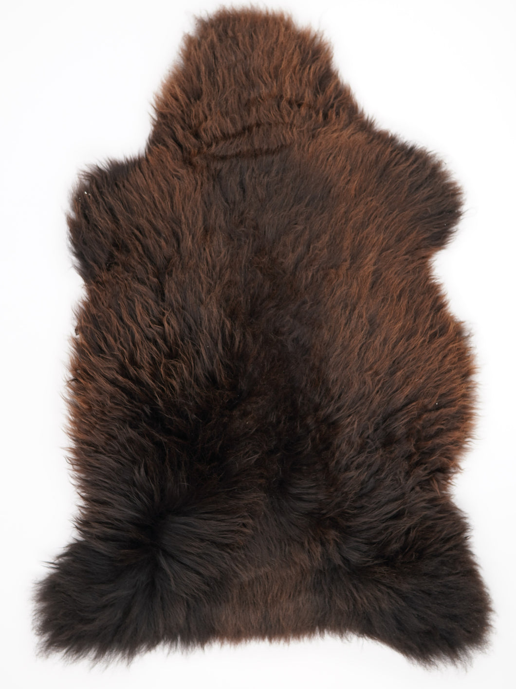 Rudas avikailis XXXL