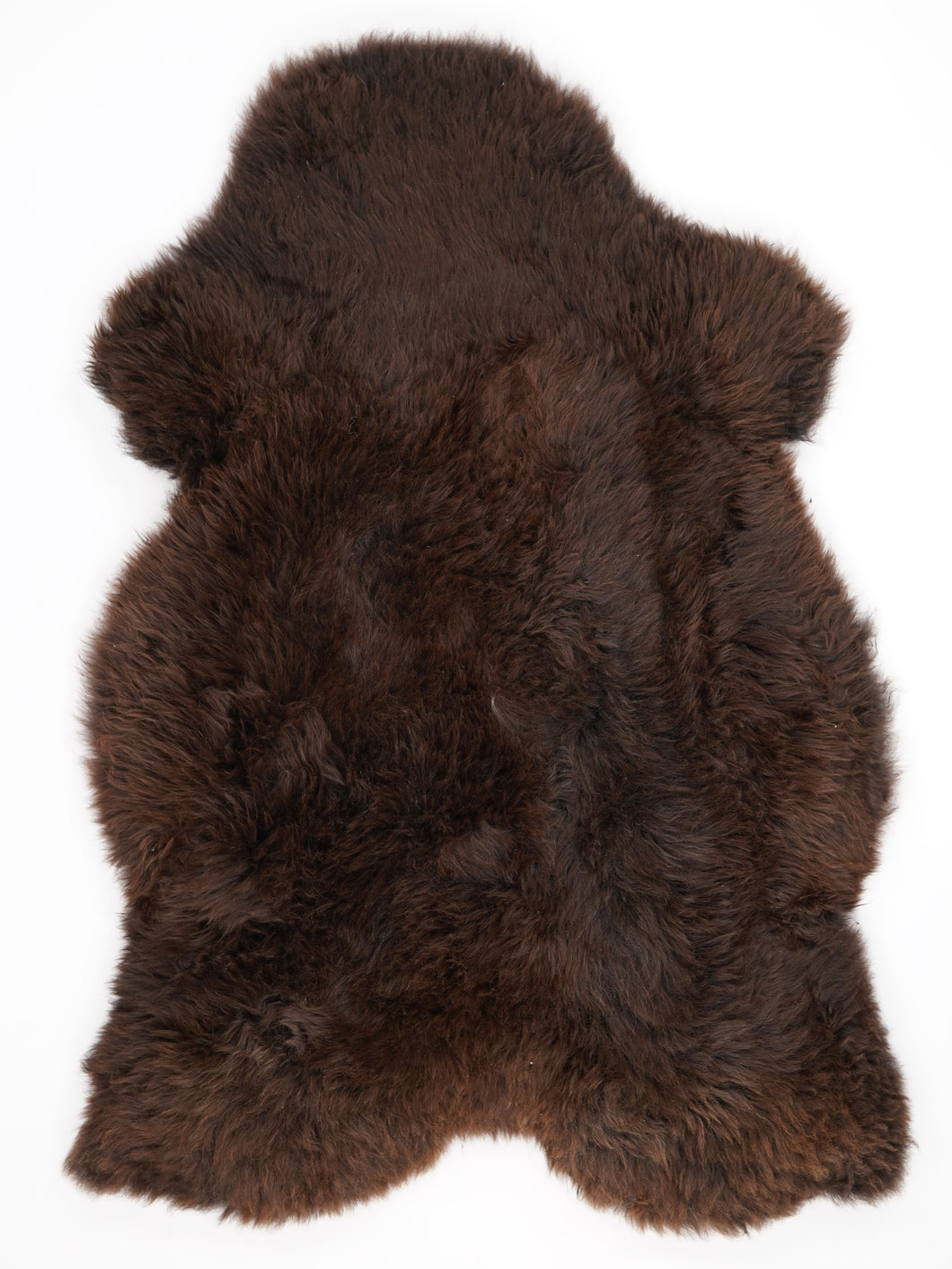 Rudas avikailis XXXL