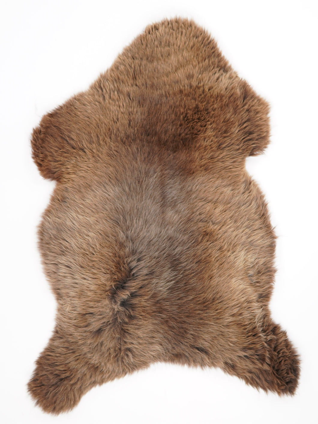 Įvairiaspalvis avikailis XL