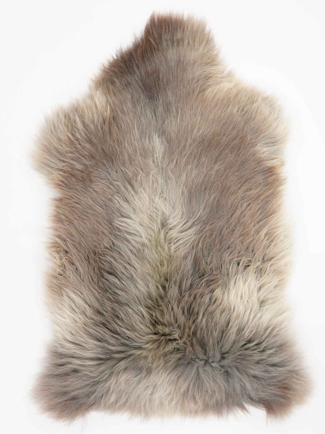 Įvairiaspalvis avikailis XXL (itin storo kailio)