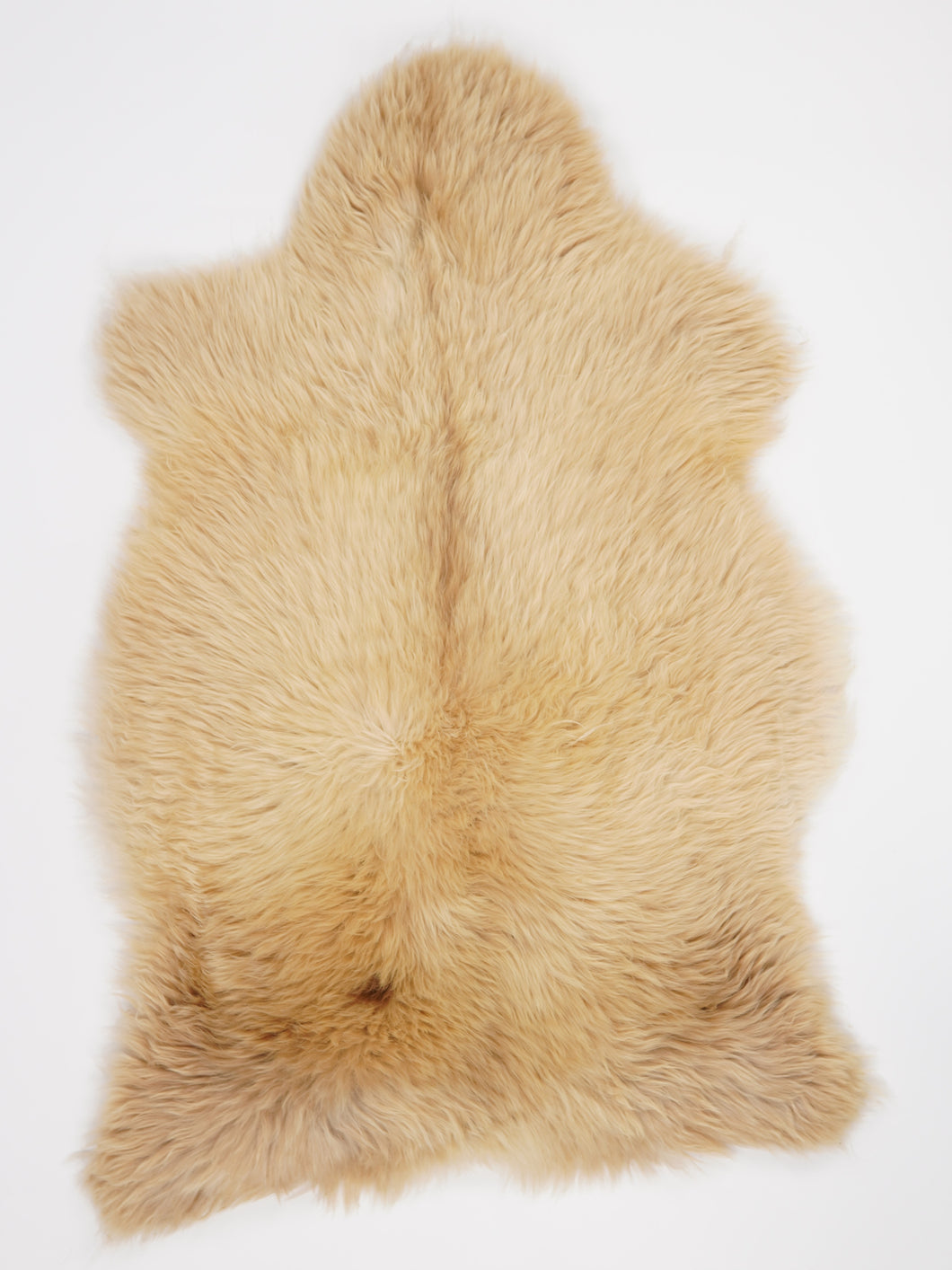 Įvairiaspalvis avikailis XL