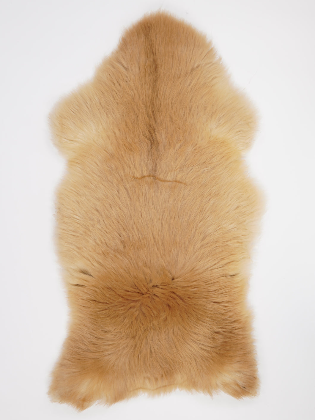 Įvairiaspalvis avikailis XXXL