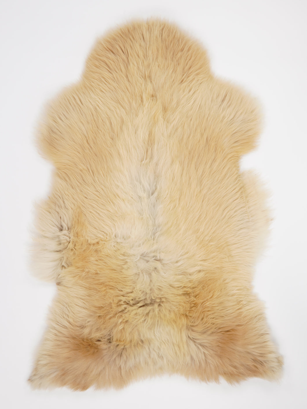 Įvairiaspalvis avikailis XXL