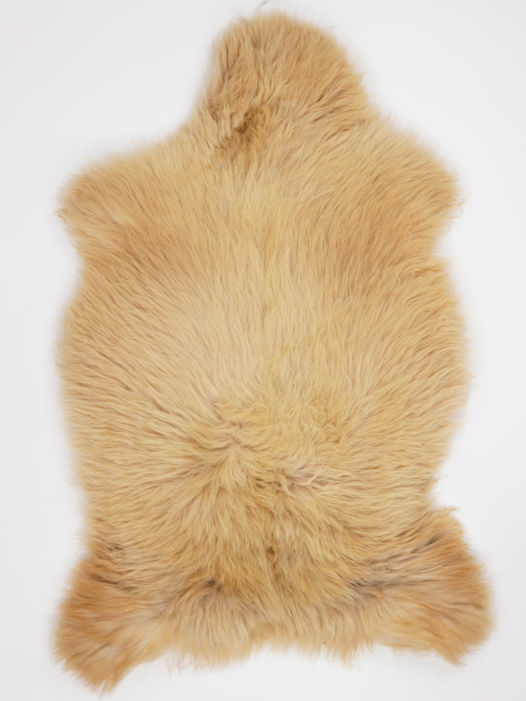 Įvairiaspalvis avikailis XXL