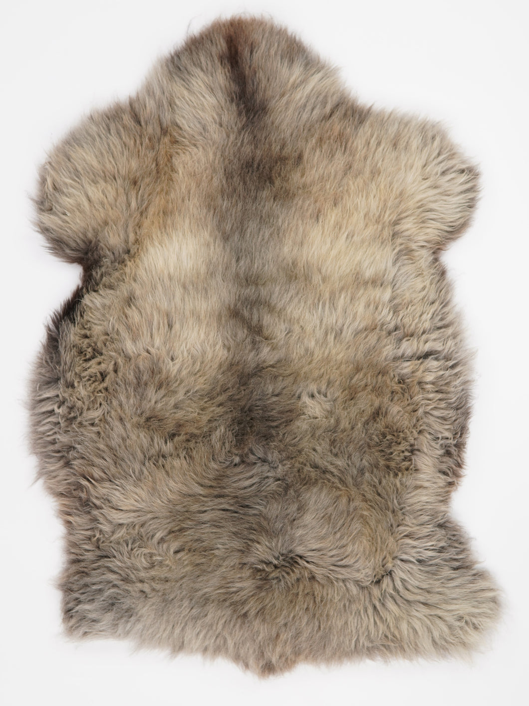 Įvairiaspalvis avikailis XXL