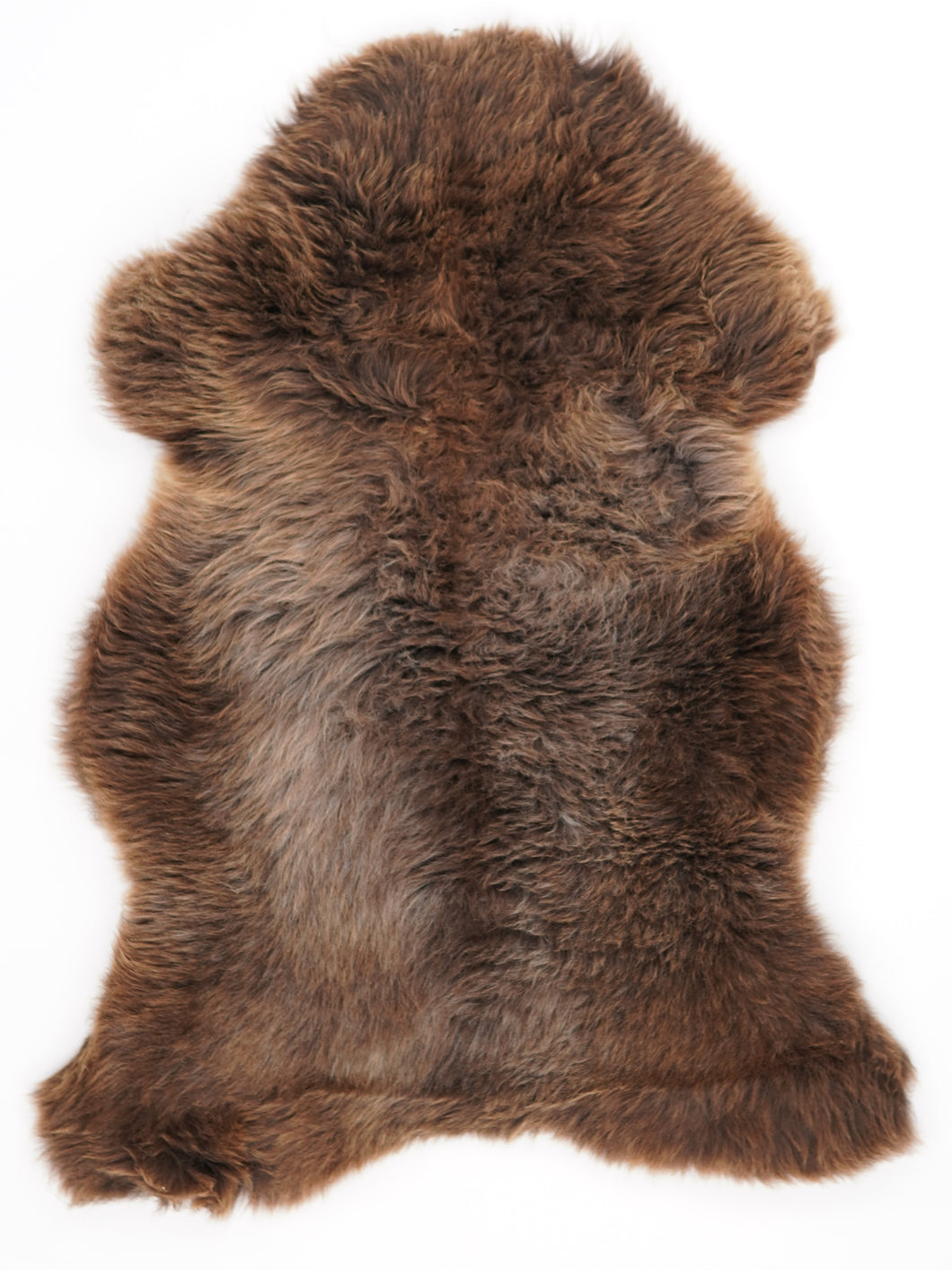 Įvairiaspalvis avikailis M