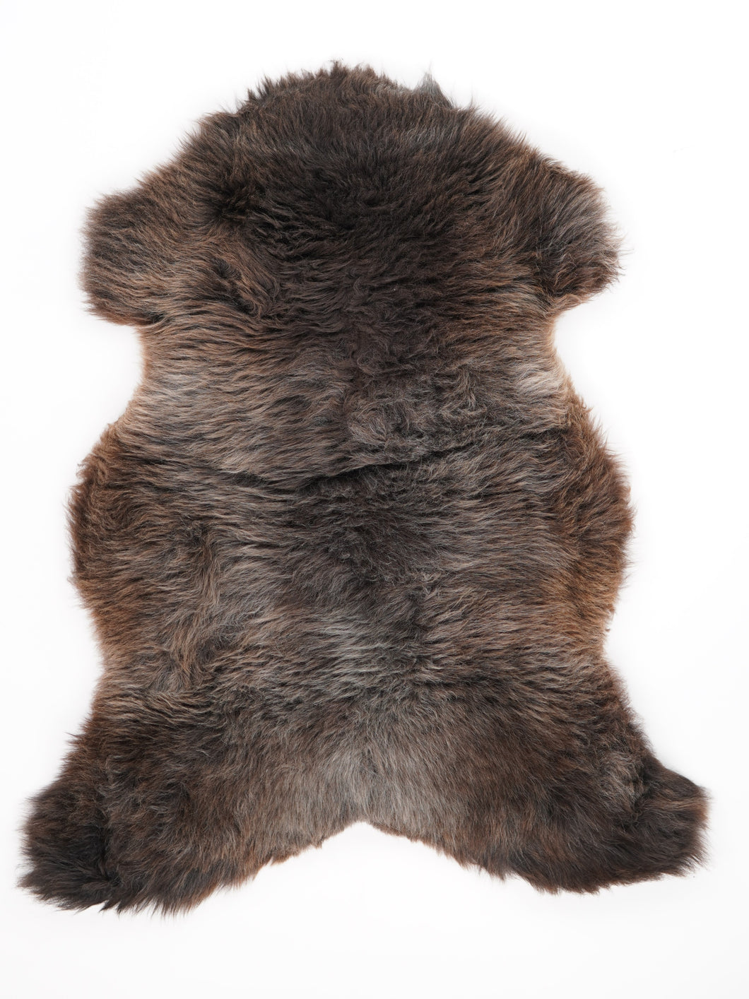 Įvairiaspalvis avikailis M