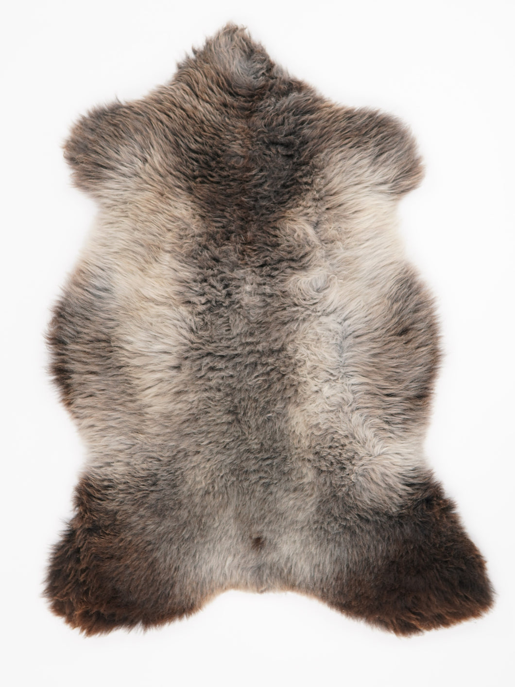 Įvairiaspalvis avikailis M