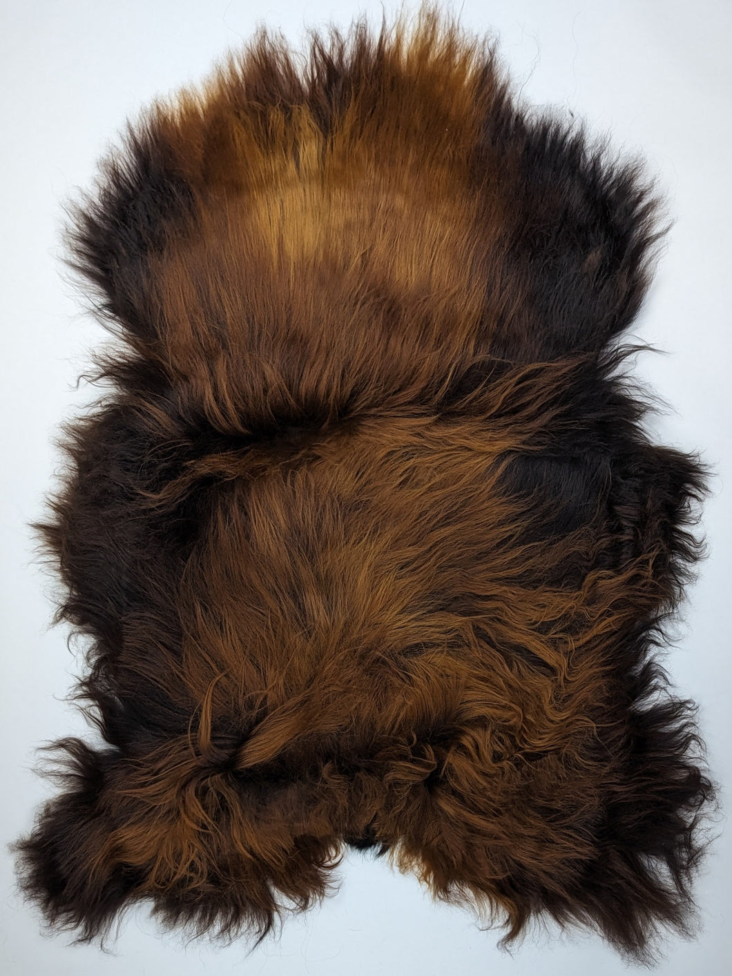 Islandská ovčí kůže „Rusty“ XL