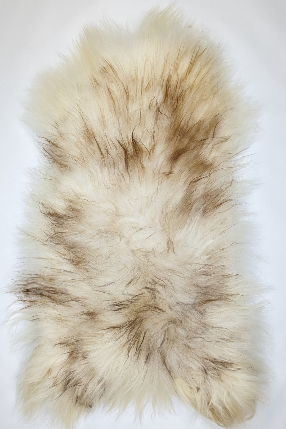 Islandiškas avikailis XXL