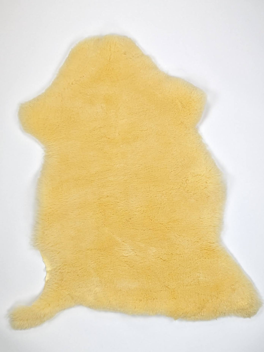 Medicininis avikailis L (itin trumpi plaukai)