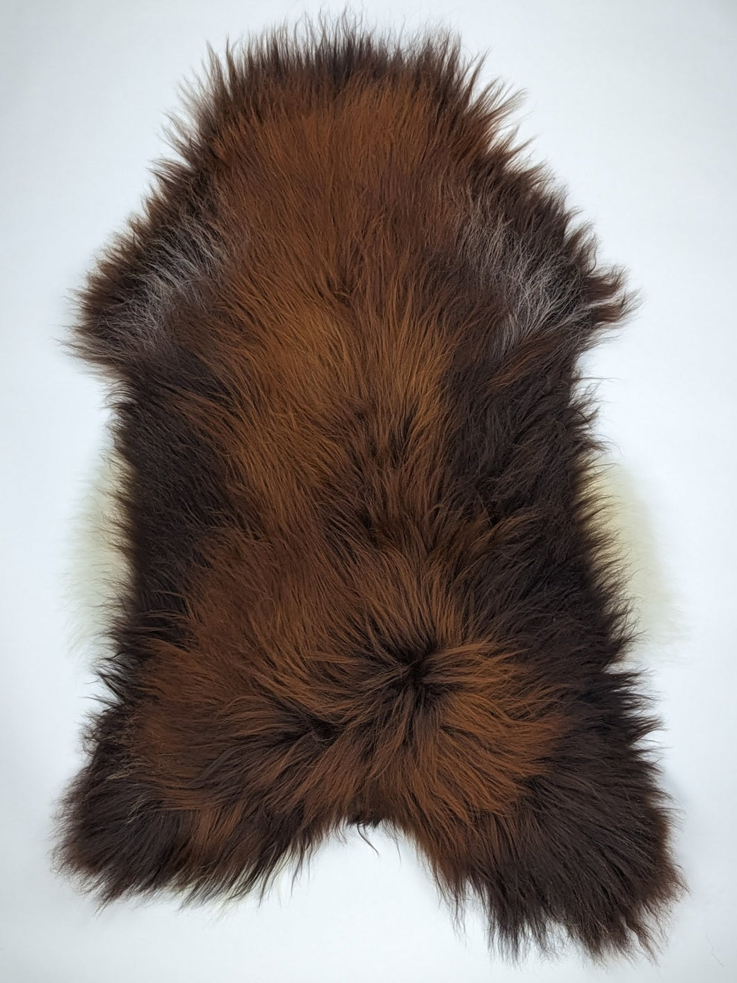 Islandská ovčí kůže „Rusty“ XXL